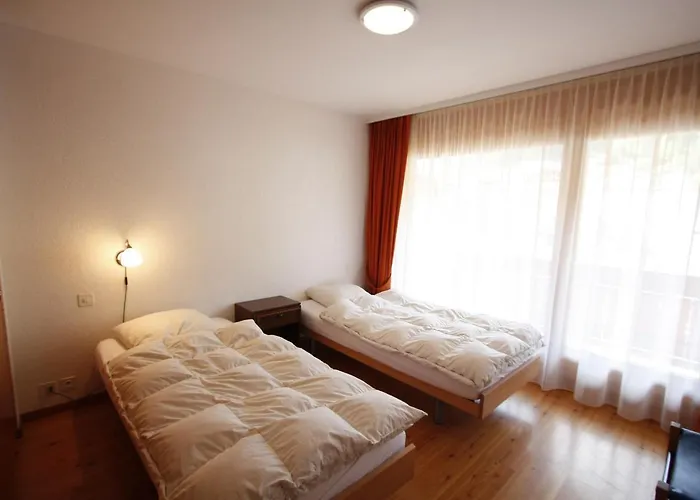 International * Кран-Монтана