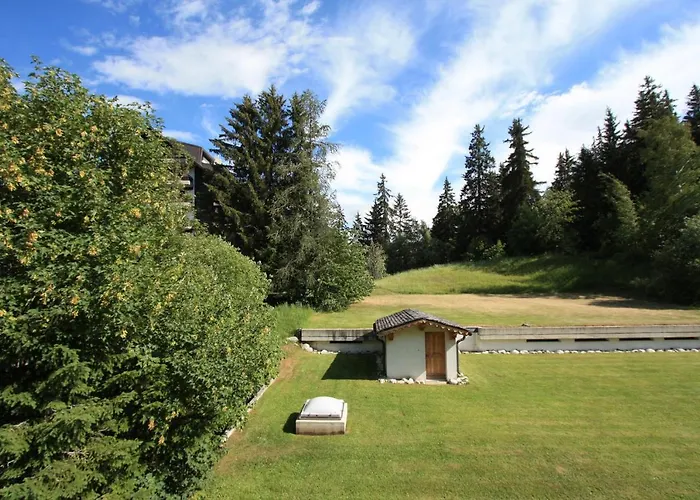 International * Кран-Монтана